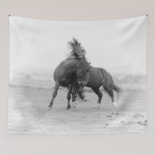 Item preview, Fighting Horses designed and sold by heidipics.