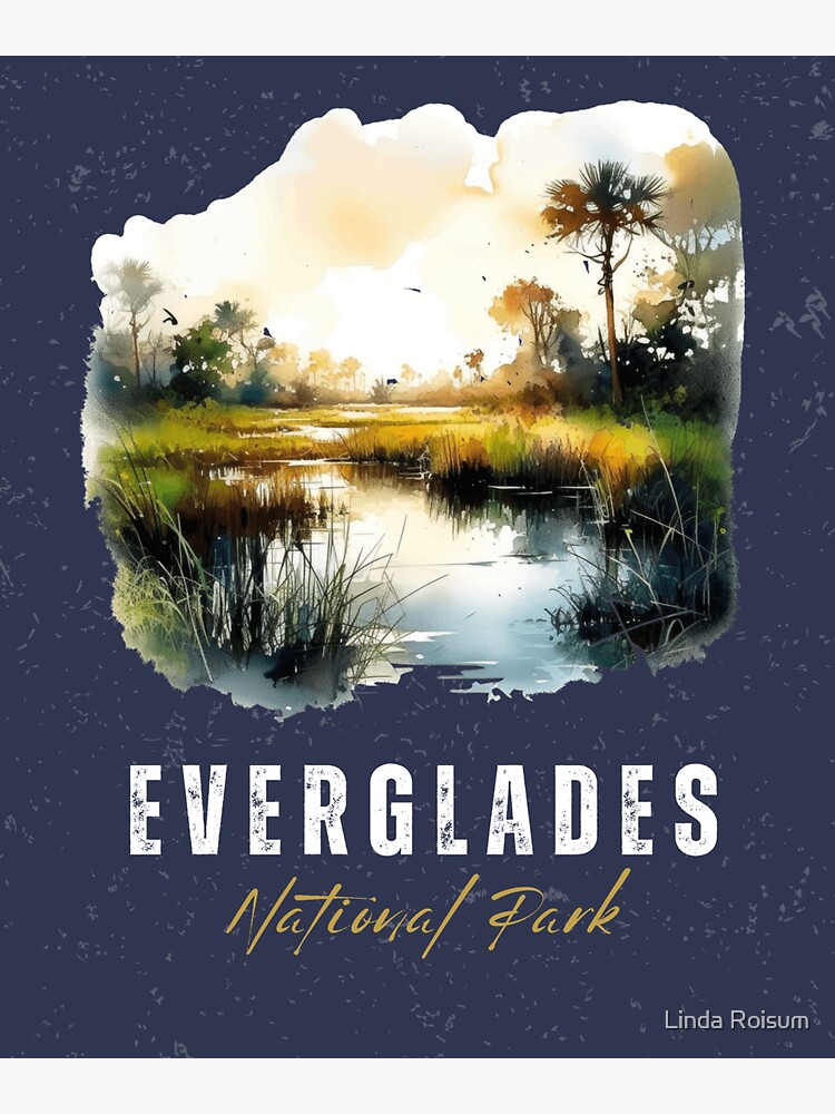 Thumbnail 3 of 3, Sticker, Everglades U.S. National Park Florida designed and sold by jouvaygifts.