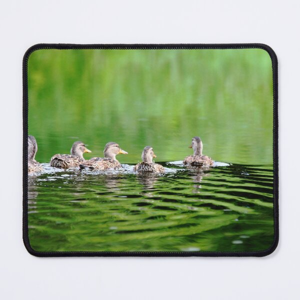 Item preview, Hen Party designed and sold by Debbie Oppermann.