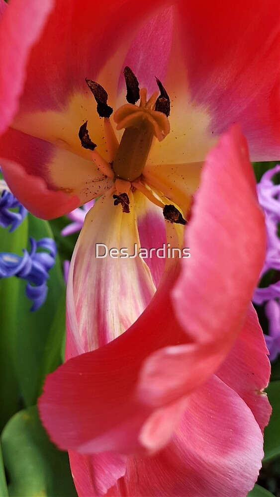 "Riding The Curve" by DesJardins Redbubble