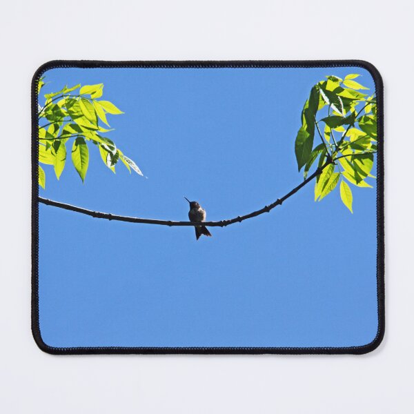 Item preview, Perched Hummer designed and sold by Debbie Oppermann.