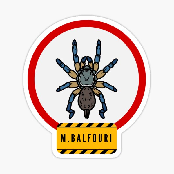 Vista previa del artículo con la obra «Tarántula Monocentropus Balfouri», diseñado y vendido por AstroLynx.