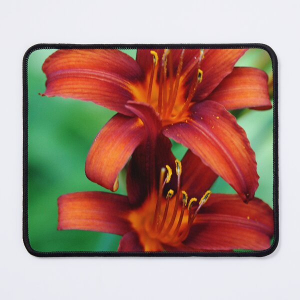 Item preview, Tawny Beauty designed and sold by Debbie Oppermann.