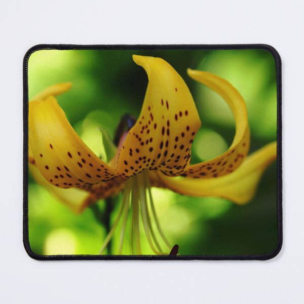 Item preview, Tiger Lily designed and sold by Debbie Oppermann.