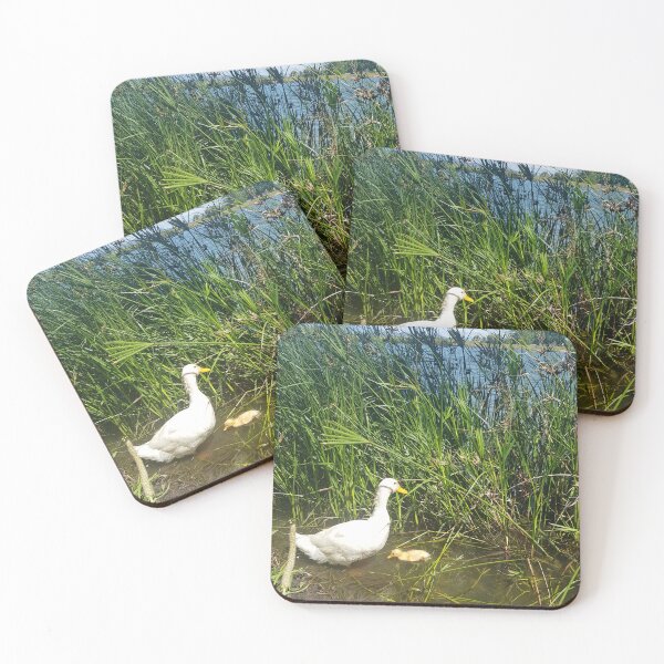 Item preview, Mother duck and her duckling  designed and sold by Blissfully-MK.