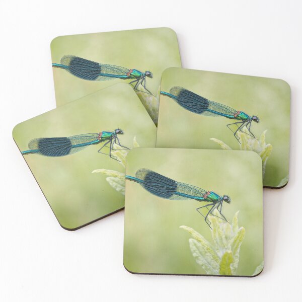 Item preview, Banded Demoiselle  designed and sold by heidipics.