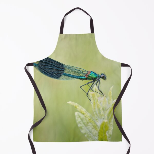 Item preview, Banded Demoiselle designed and sold by heidipics.