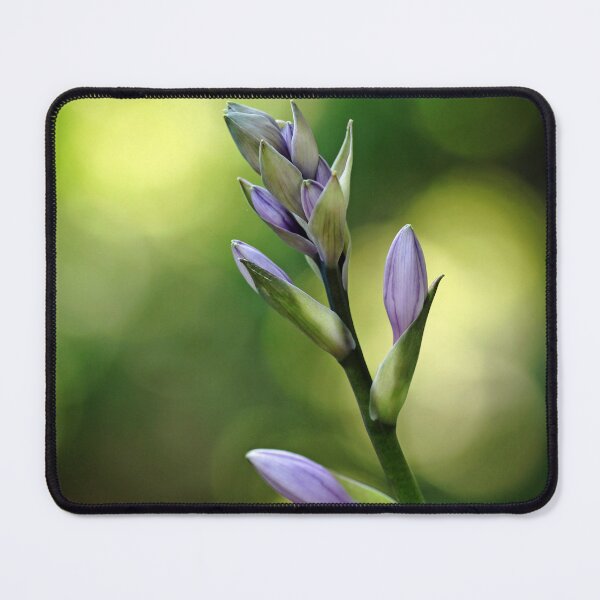Item preview, Purple Flower Buds designed and sold by Debbie Oppermann.