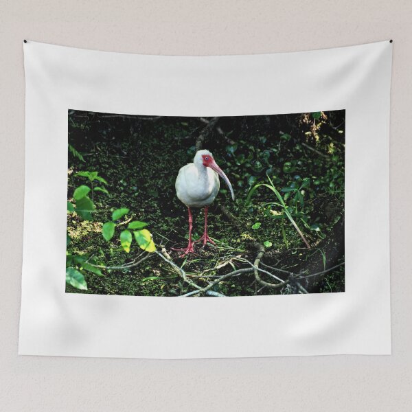 Item preview, White Ibis 3 - Florida designed and sold by jtrommer.