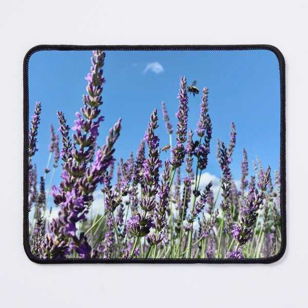 Item preview, Magog, Quebec, Canada designed and sold by SoRich.