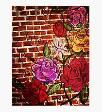 Urban Garden Photographic Print