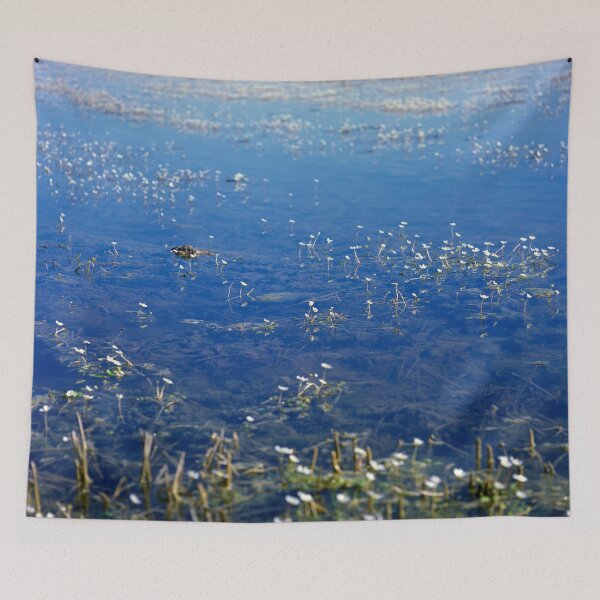 Item preview, Parc Natural de l'Albufera de València, Spain 2022 designed and sold by Michel Meijer.