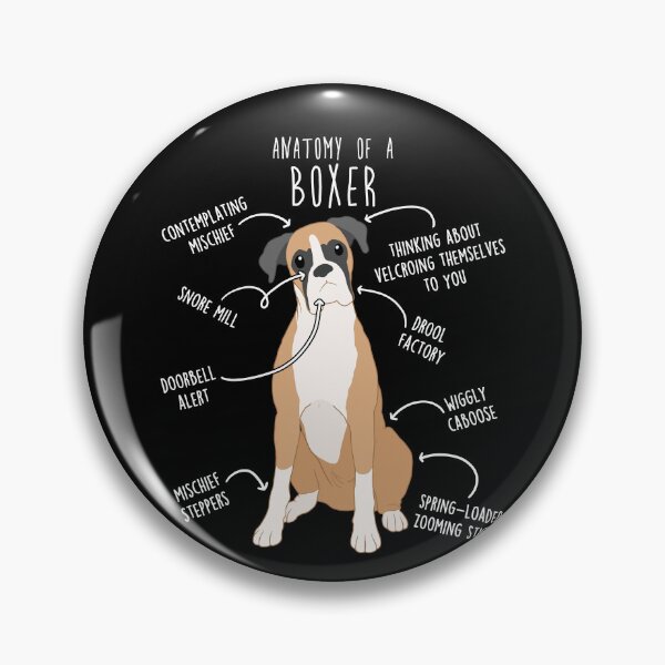 Item preview, Boxer Dog Fawn Anatomy designed and sold by Clara Hollins.