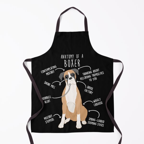 Item preview, Boxer Dog Fawn Anatomy designed and sold by Clara Hollins.