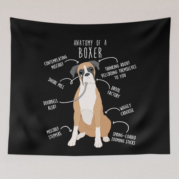Item preview, Boxer Dog Fawn Anatomy designed and sold by Clara Hollins.
