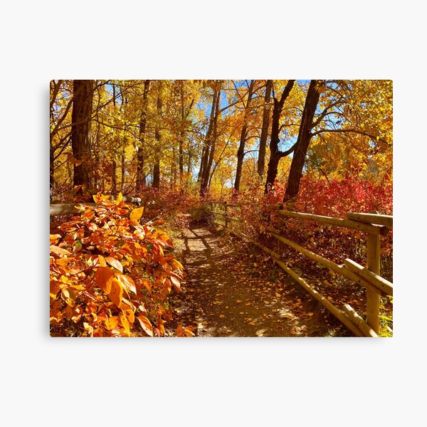 Item preview, A Walk in the Park designed and sold by Photography by Syed Adeel Hussain.