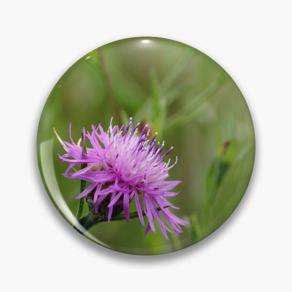 Item preview, Bachelor's Button designed and sold by Debbie Oppermann.