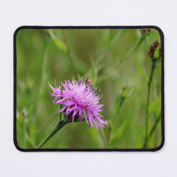 Item preview, Bachelor's Button designed and sold by Debbie Oppermann.