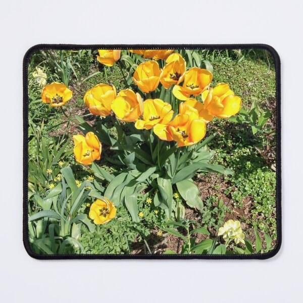 Item preview, Bright Color Splash designed and sold by David Trotter Fine Art.