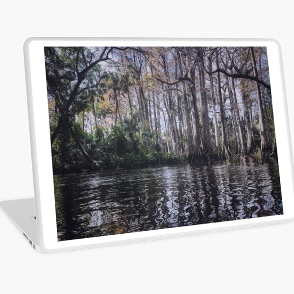 Aperçu de l'œuvre Rivière Loxahatchee créée et vendue par Jason Tompkins.