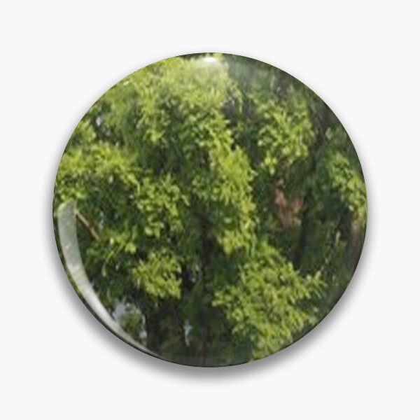 Item preview, tree texture designed and sold by LindoDesign.