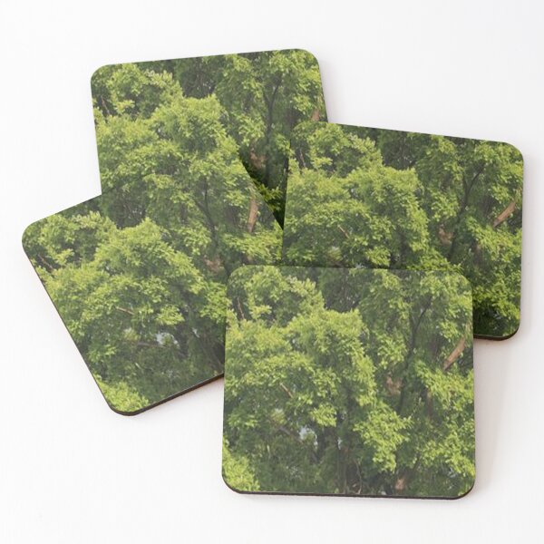 Item preview, tree texture designed and sold by LindoDesign.