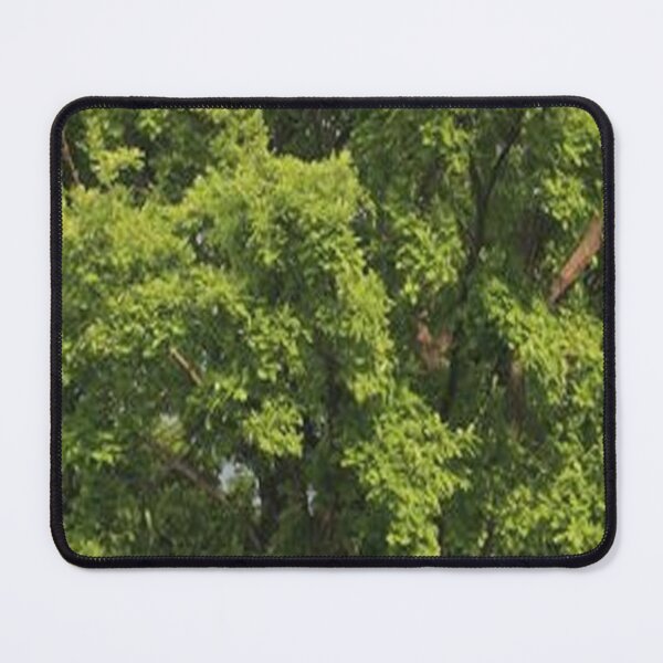 Item preview, tree texture designed and sold by LindoDesign.