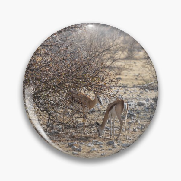 Item preview, Namibia. Etosha National Park. Springboks in the Bush.  designed and sold by vadim19.