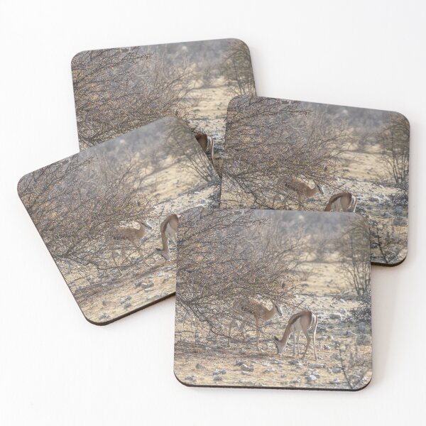 Item preview, Namibia. Etosha National Park. Springboks in the Bush.  designed and sold by vadim19.
