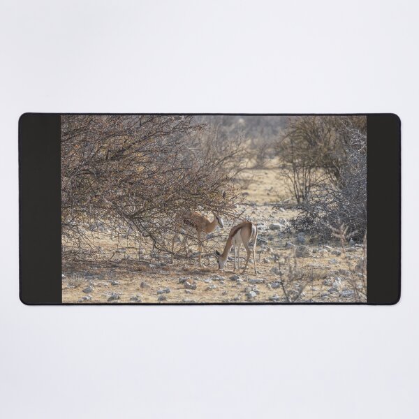 Item preview, Namibia. Etosha National Park. Springboks in the Bush.  designed and sold by vadim19.