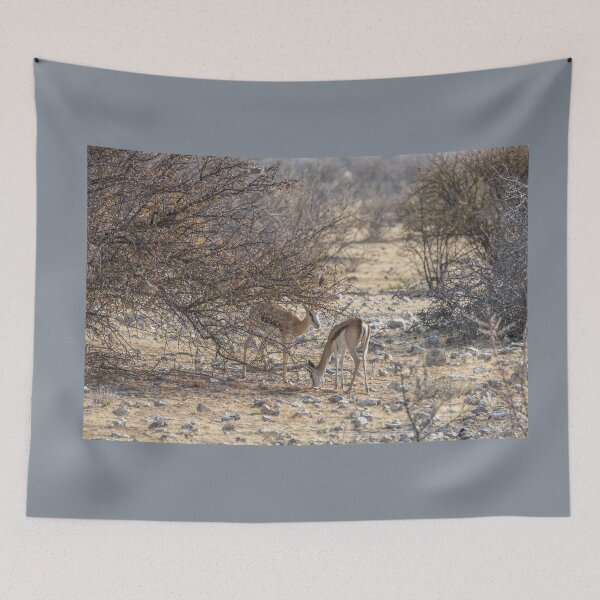 Item preview, Namibia. Etosha National Park. Springboks in the Bush.  designed and sold by vadim19.