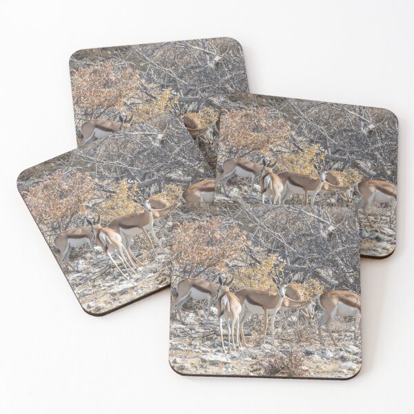 Item preview, Namibia. Etosha National Park. Springboks.  designed and sold by vadim19.