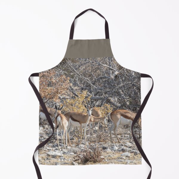 Item preview, Namibia. Etosha National Park. Springboks. designed and sold by vadim19.