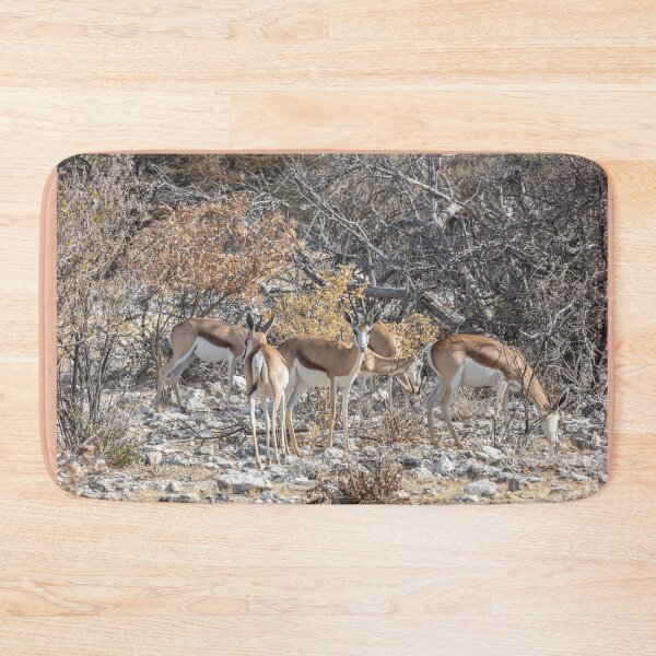 Item preview, Namibia. Etosha National Park. Springboks.  designed and sold by vadim19.