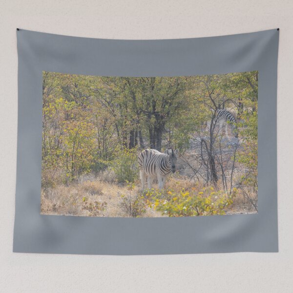 Item preview, Namibia. Etosha National Park. Zebra.  designed and sold by vadim19.