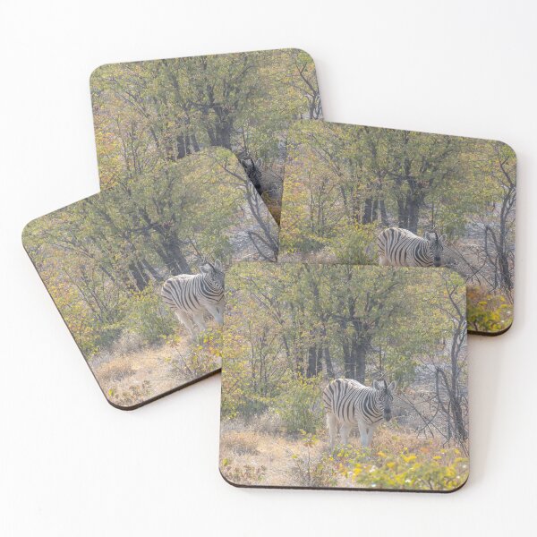Item preview, Namibia. Etosha National Park. Zebra.  designed and sold by vadim19.