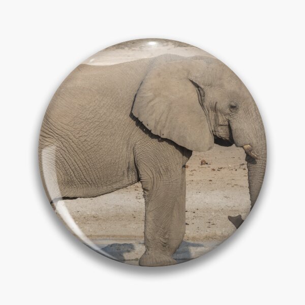 Item preview, Namibia. Etosha National Park. Elephant at the Waterhole.  designed and sold by vadim19.