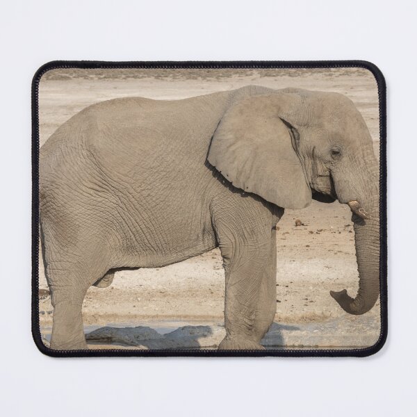 Item preview, Namibia. Etosha National Park. Elephant at the Waterhole.  designed and sold by vadim19.