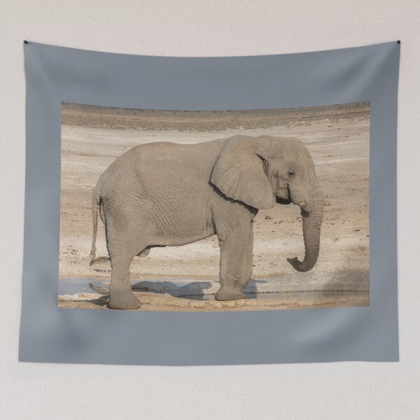 Item preview, Namibia. Etosha National Park. Elephant at the Waterhole.  designed and sold by vadim19.