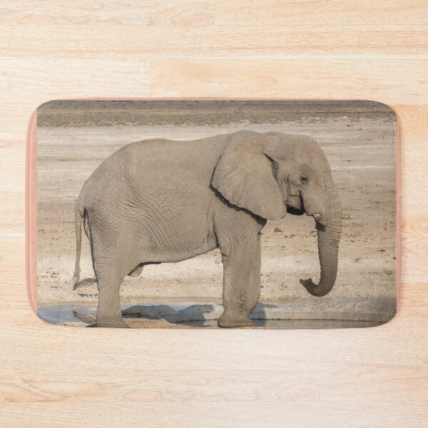 Item preview, Namibia. Etosha National Park. Elephant at the Waterhole.  designed and sold by vadim19.
