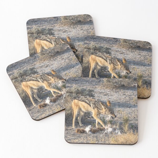 Item preview, Namibia. Etosha National Park. Scavenging Jackal.  designed and sold by vadim19.