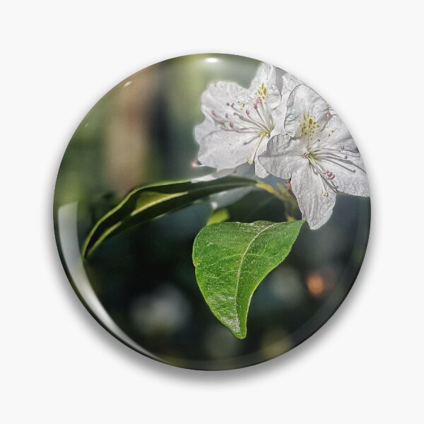 Item preview, Mountain Laurel Blossom designed and sold by Jason Tompkins.