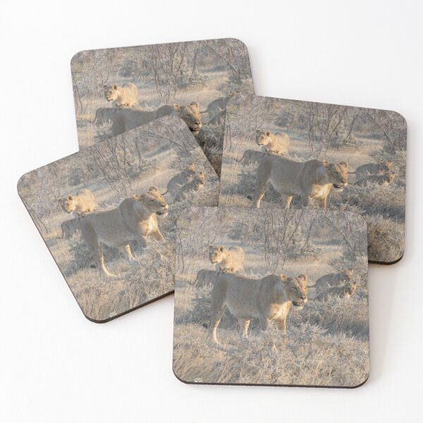 Item preview, Namibia. Etosha National Park. Lions Pride in the Bush.  designed and sold by vadim19.