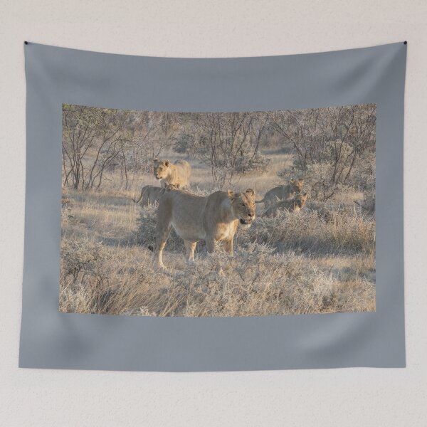 Item preview, Namibia. Etosha National Park. Lions Pride in the Bush.  designed and sold by vadim19.