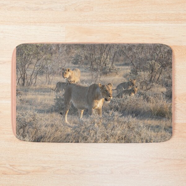 Item preview, Namibia. Etosha National Park. Lions Pride in the Bush.  designed and sold by vadim19.