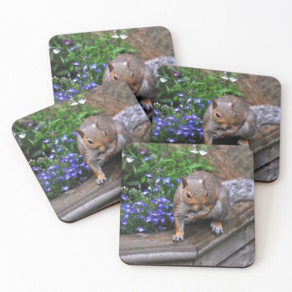 Item preview, Grey Squirrel  designed and sold by LJarts.