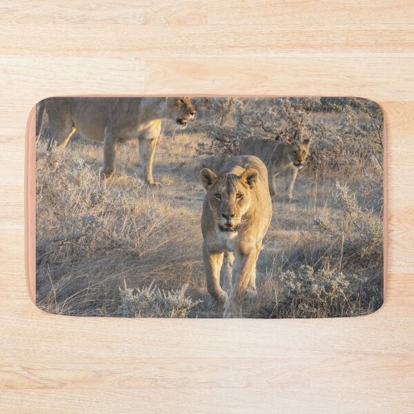 Item preview, Namibia. Etosha National Park. Lioness.  designed and sold by vadim19.