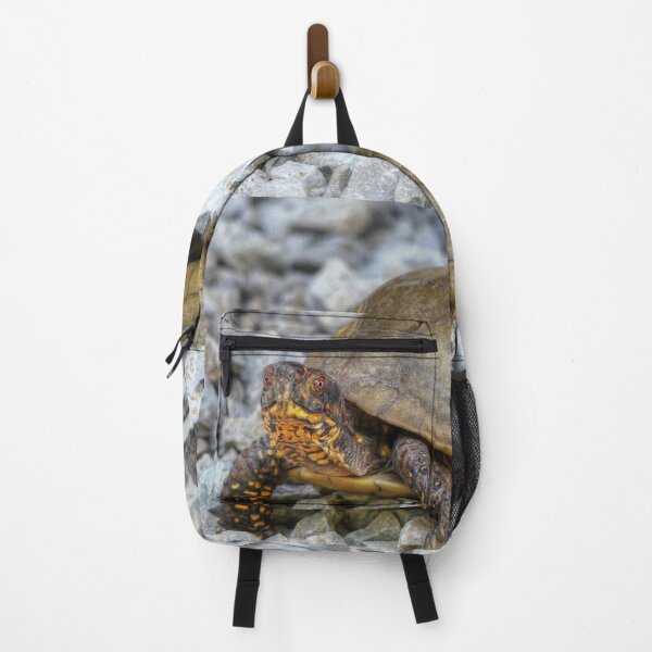 Item preview, Box Turtle  designed and sold by Frankie Cat Photography.