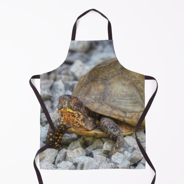 Item preview, Box Turtle  designed and sold by Frankie Cat Photography.