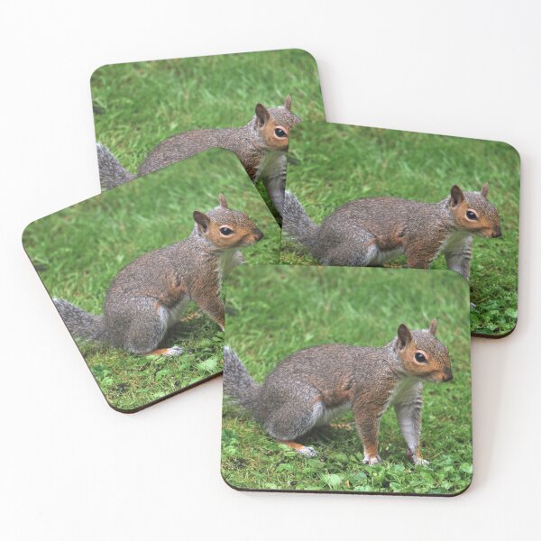 Item preview, Grey Squirrel  designed and sold by LJarts.